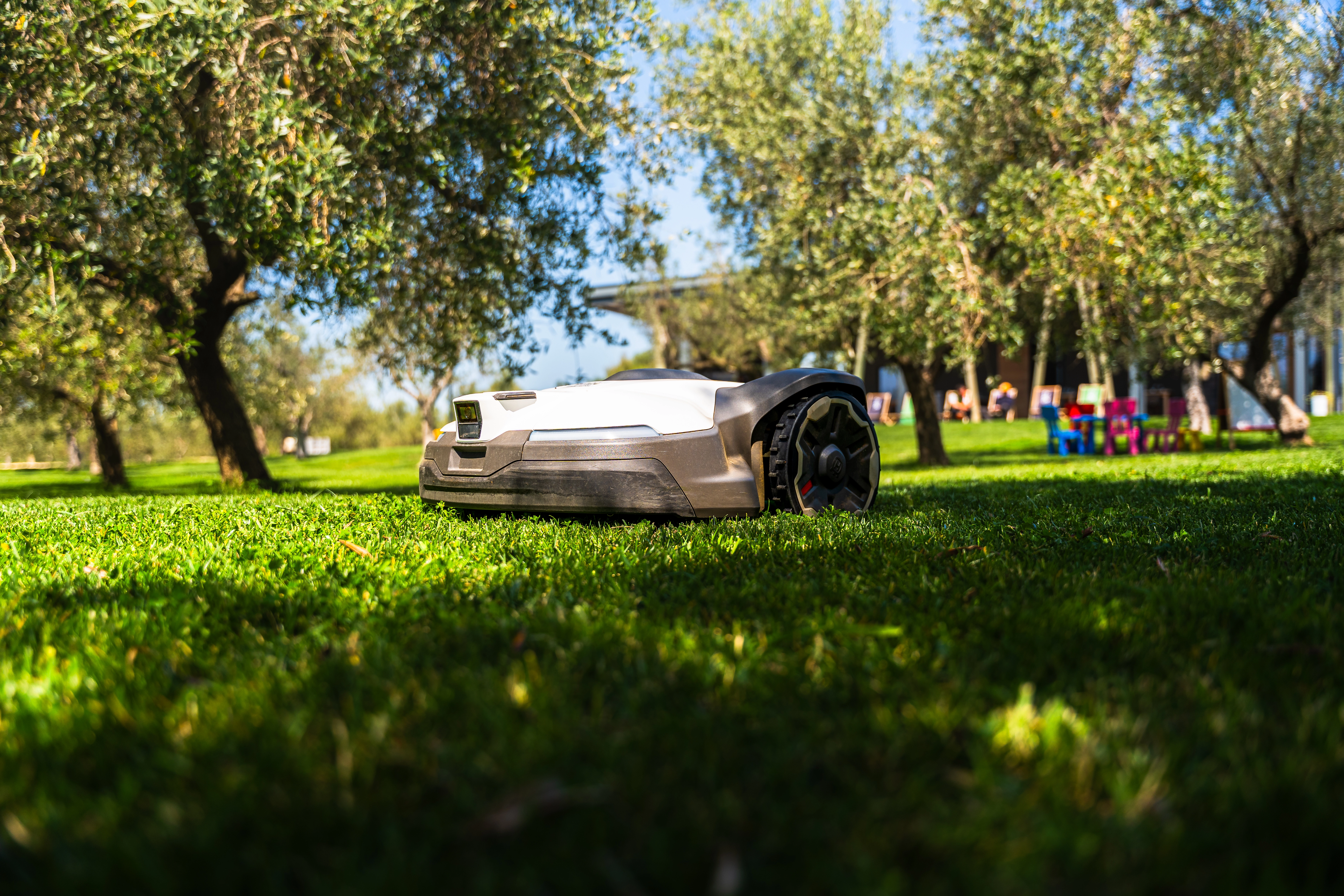 Uređenje okoliša s mediteranskim biljem