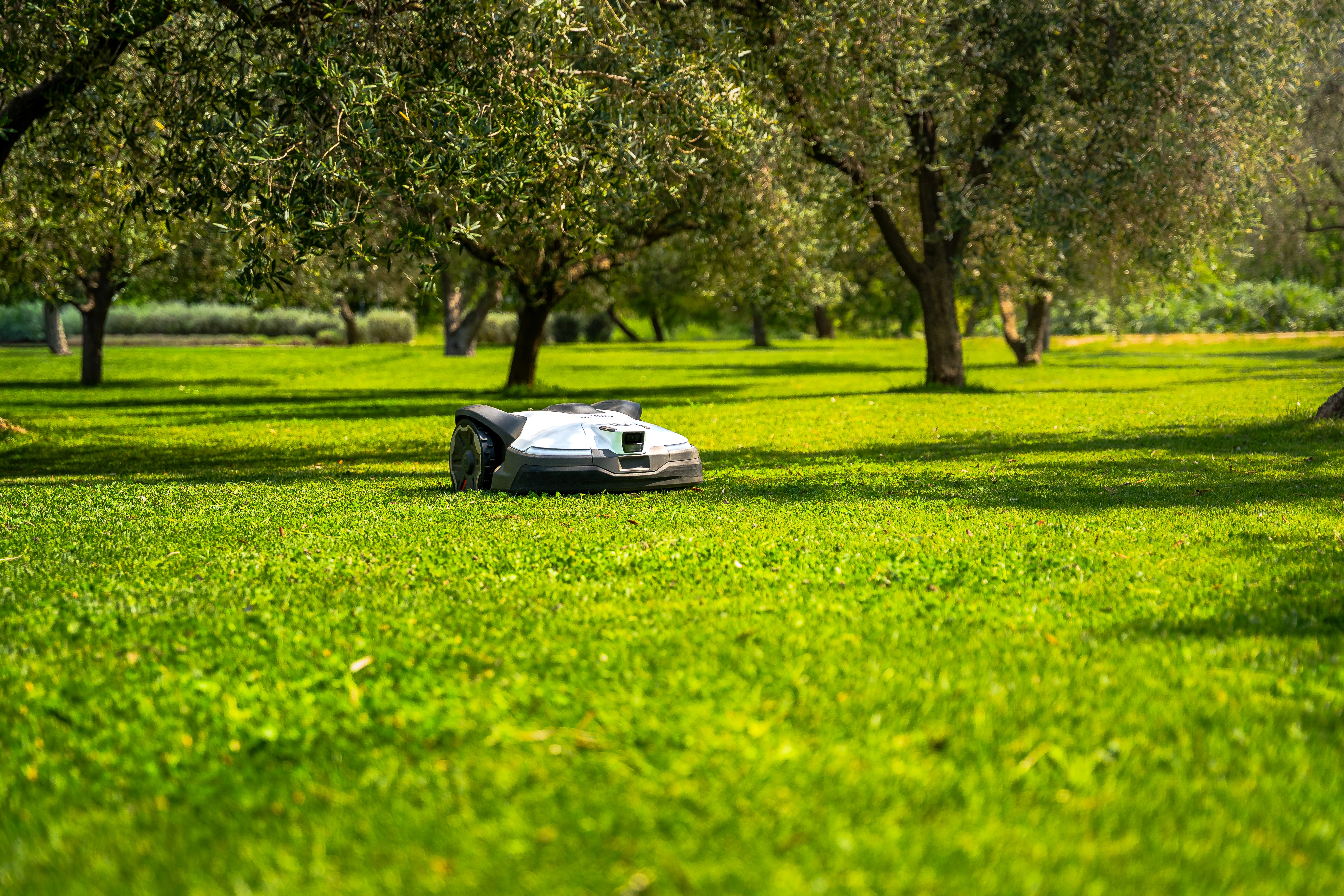 Uređen travnjak nakon izvedbe