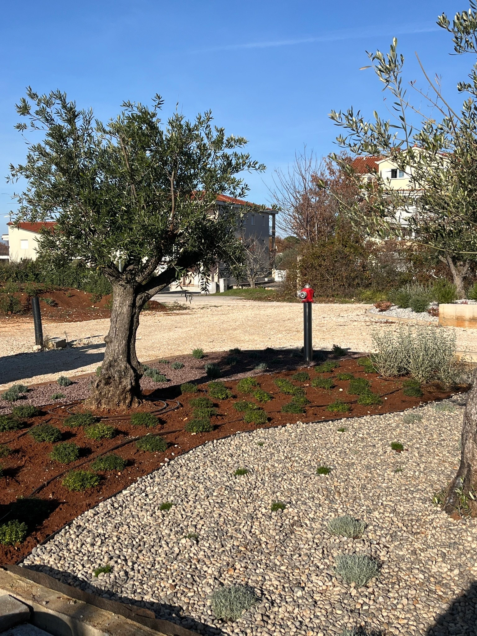 Privatna kuća Medulin — uređenje okućnice