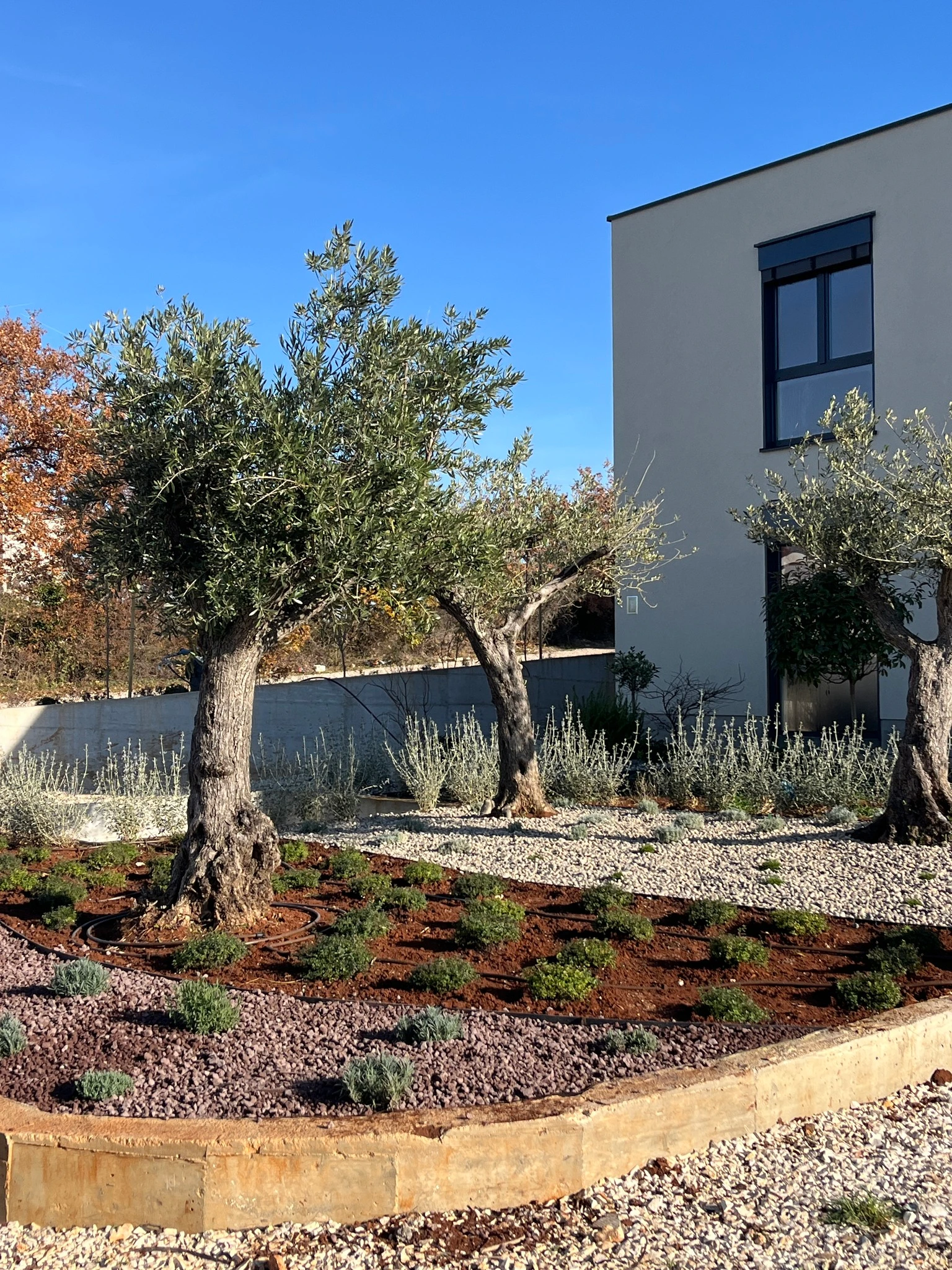 Vrt Fažana — navodnjavanje i uređenje